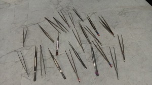 LOT OF VARIOUS FORCEPS