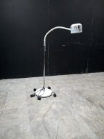 GOOSENECK EXAM LIGHT