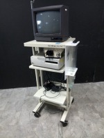 ENDO CART WITH MONITOR, AZTEC LIGHT SOURCE, SONY PRINTER