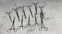 LOT OF BABCOCK FORCEPS