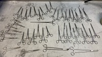 LOT OF VARIOUS FORCEPS & CLAMPS