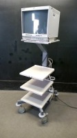 OLYMPUS TI-1900 IMAGING CART WITH MONITOR