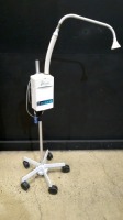 GIRAFFE SPOT PT LITE