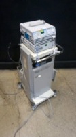 USMI SS-200E ESU SYSTEM & ARGON 2 CANADY PLASMA COAGULATOR WITH FOOTSWITCH