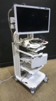 OLYMPUS ENDOSCOPY CART WITH OEV262H MONITOR