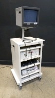 KAY RLS 9100 B RHINO-LARYNGEAL STROBOSCOPE & KAY 9105 RIDGE SCOPE ON CART