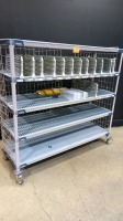 ROLLING RACK