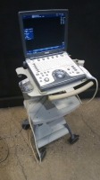 GE LOGIQ E PORTABLE ULTRASOUND MACHINE WITH 2 PROBES (8L-RS, 4C-RS)