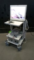 STRYKER 988 ENDOSCOPY SYSTEM TO INCLUDE: 988 CAMERA CONTROL UNIT, 988 CAMERA HEAD WITH COUPLER (988-210-122), X6000 LIGHT SOURCE, LIGHT CABLE, VISION ELECT 21 INCH HD MONITOR, ROLLING CART