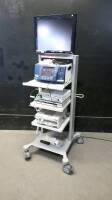 VISION SCIENCES ENDOSCOPY SYSTEM TO INCLUDE: DVC-2010 CAMERA CONTROL UNIT, CAMERA HEAD, VNUS RFG2 RF GENERATOR WITH CABLES, OYMPUS CLV-S30 LIGHT SOURCE, TRUTECH DVD RECORDER, SHARP AQUOS MONITOR, TOWER