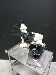 NIKON LABOPHOT-2 MICROSCOPE WITH 10X EYEPIECES AND 4 OBJECTIVES: 100, 40, 10, 4