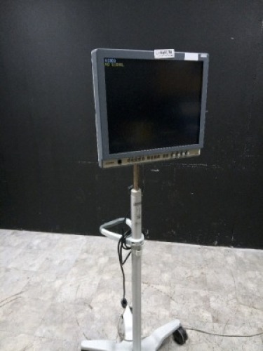 OLYMPUS OEV191-H ENDO MONITOR ON ROLLING STAND