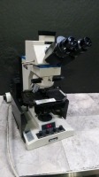 REICHERT DIASTAR LAB MICROSCOPE WITH EYEPIECES BOTH (15X) & 4 OBJECTIVES (100,40,20,10)