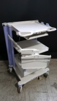 OLYMPUS ENDOSCOPY CART