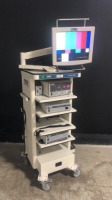 KARL STORZ ENDOSCOPY SYSTEM TO INCLUDE 22200020 IMAGE 1 CAMERA CONTROL UNIT, 20204020 AIDA DVD UNIT, 26430520 ELECTRONIC ENDOFLATOR, KARL STORZ MONITOR, LEXION INSUFLOW PUMP ON KARL STORZ GOKART 9601F