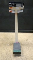 LOT OF PATIENT SCALES