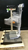 LOT OF PATIENT SCALES