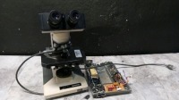 OLYMPUS BH-2 LAB MICROSCOPE WITH EYEPIECES BOTH (10X/20) & 4 OBJECTIVES (100,40,10,4)
