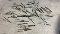 LOT OF TISSUE FORCEPS