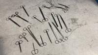 LOT OF VARIOUS SCISSORS