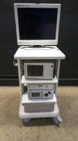 STRYKER ENDOSCOPY SYSTEM TO INCLUDE 1088HD CAMERA CONTROL UNIT, X8000 LIGHT SOURCE, SDC HD DIGITAL CAPTURE & VISION ELECT MONITOR ON CART
