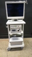 STRYKER ENDOSCOPY SYSTEM TO INCLUDE 1088HD CAMERA CONTROL UNIT, X8000 LIGHT SOURCE & VISION ELECT MONITOR ON CART