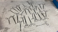 LOT OF BABCOCK FORCEPS