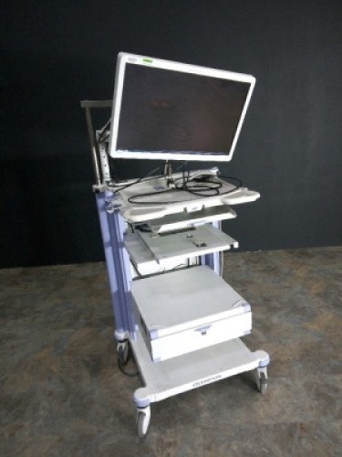 OLYMPUS ENDO CART WITH OEV262H MONITOR