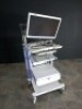 OLYMPUS ENDO CART WITH OEV262H MONITOR