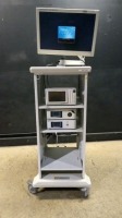 STRYKER ENDOSCOPY SYSTEM TO INCLUDE 1288 HD CAMERA CONTROL UNIT, L9000 LIGHT SOURCE, SDC ULTRA HD INFORMATION MANAGEMENT SYSTEM & VISION ELECT HD MONITOR