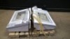 LOT OF STERIS SYSTEM 1 PROCESSORS