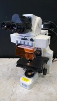 NIKON ECLIPSE E400 LAB MICROSCOPE WITH 2 EYEPIECES (CFI 10X/22) AND 5 OBJECTIVES (10, 20, 40, 50, 100)