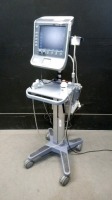 SONOSITE S-ICU PORTABLE ULTRASOUND SYSTEM WITH 2 PROBES (HFL38, P21) ON S SERIES STAND