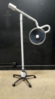 RITTER 355 EXAM LIGHT