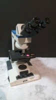 REICHERT MICROSTAR IV LAB MICROSCOPE