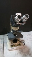 AO SCIENTIFIC ONE-TEN LAB MICROSCOPE