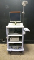 OLYMPUS ENDOSCOPY CART WITH OEV191 MONITOR