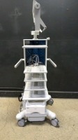 ENDOSCOPY CART