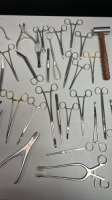 MAJOR ORTHO INSTRUMENTATION TRAY