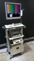 KARL STORZ ENDOSCOPY SYSTEM TO INCLUDE 20233020 TELECAM DX II CAMERA CONTROL UNIT, 20131520 XENON NOVA 175 LIGHT SOURCE, SONY UP-25MD PRINTER & MONITOR ON OFFICEKART 9803 T-20