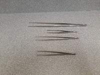 FORCEPS