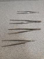 FORCEPS