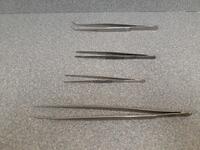 FORCEPS