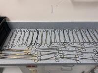 LOT OF ASSORTED SCISSORS AND CLAMPS