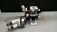 LEICA DM 3000 LAB MICROSCOPE WITH EYEPIECES BOTH (10X/22) & 4 OBJECTIVES (63,10,5,2.5)