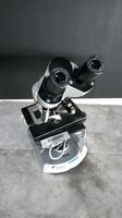 ZEISS MICROSCOPE WITH 10X EYEPIECES AND 3 OBJECTIVES: 10X,40X, 100X