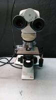 LEICA DM 1000 LAB MICROSCOPE WITH EYEPIECES BOTH (10X/20) & 5 OBJECTIVES (100,50,4020,10)