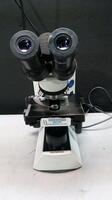 OLYMPUS CX31 LAB MICROSCOPE WITH EYEPIECES (8XL) & 4 OBJECTIVES (100,40,10,4)