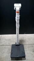 LOT OF DETECTO DIGITAL PATIENT SCALES