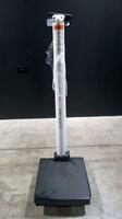 LOT OF DETECTO DIGITAL PATIENT SCALES